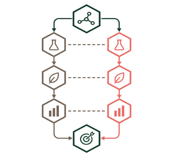 Imagen de un diagrama
